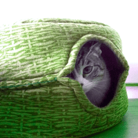 лежанка для кота своими руками