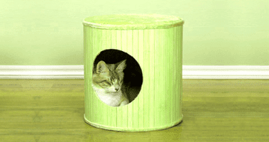 лежанка для кота своими руками